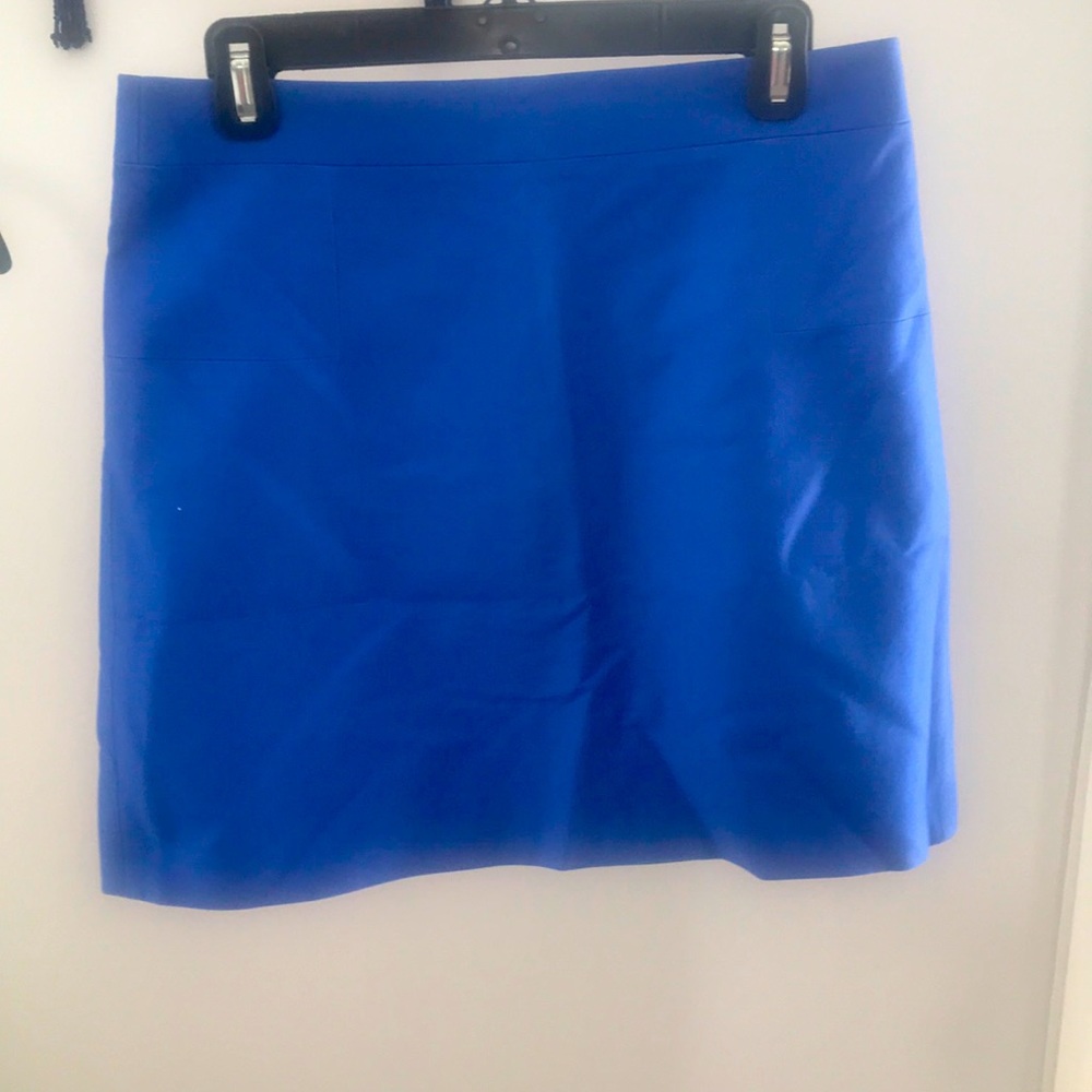 JCrew Mini Skirt